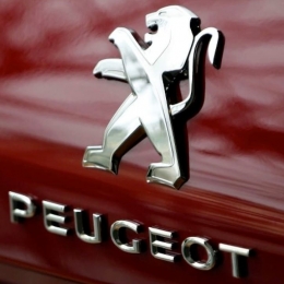 Накладки на пороги для а/м Peugeot